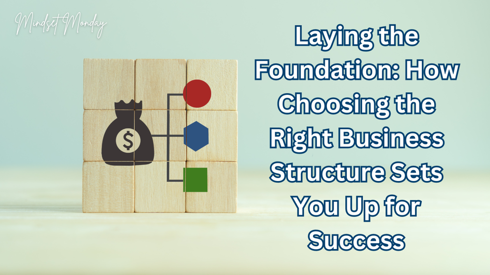 Wooden blocks with a money bag branching into three shapes, under a title on choosing the right business structure