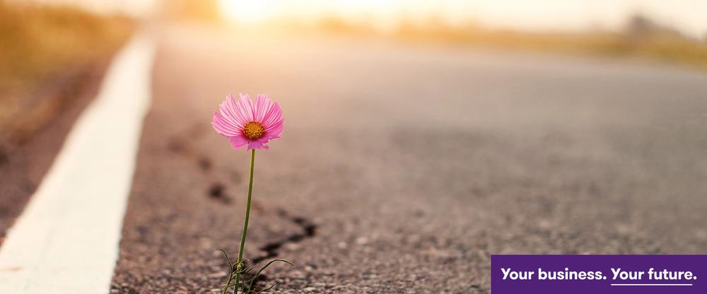 A pink cosmos flower growing through a crack in an asphalt road at sunrise, tagged Your business. Your future.