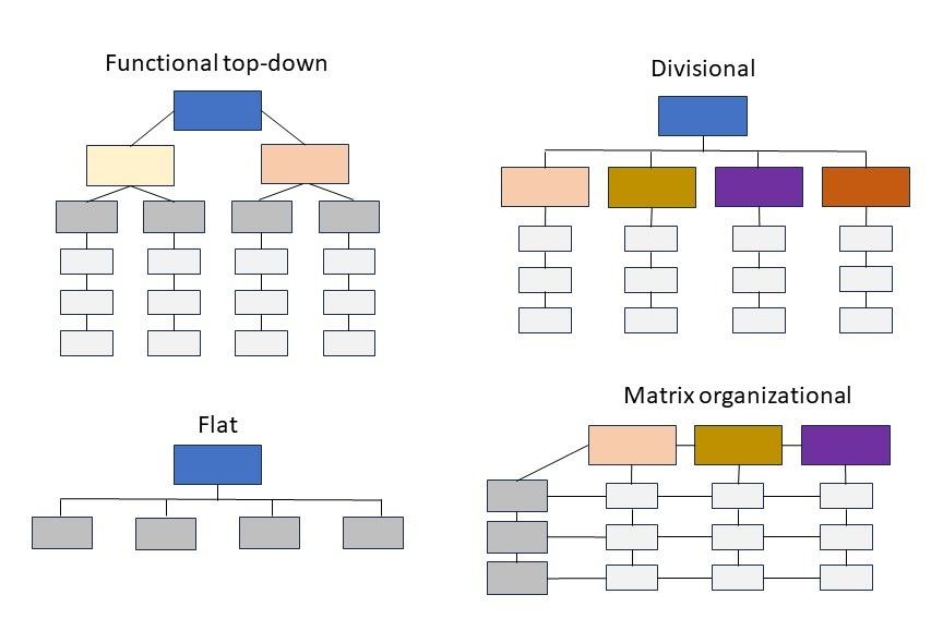 Four org chart types side by side: functional top-down, divisional, flat and matrix