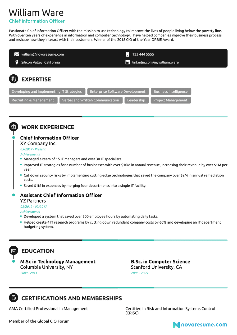 Novoresume executive resume sample for a chief information officer, with expertise tags, experience and education