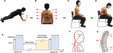 Study figure: sensors on a man's back, upright then slumped sitting, a test timeline, and neck and spine angle measures