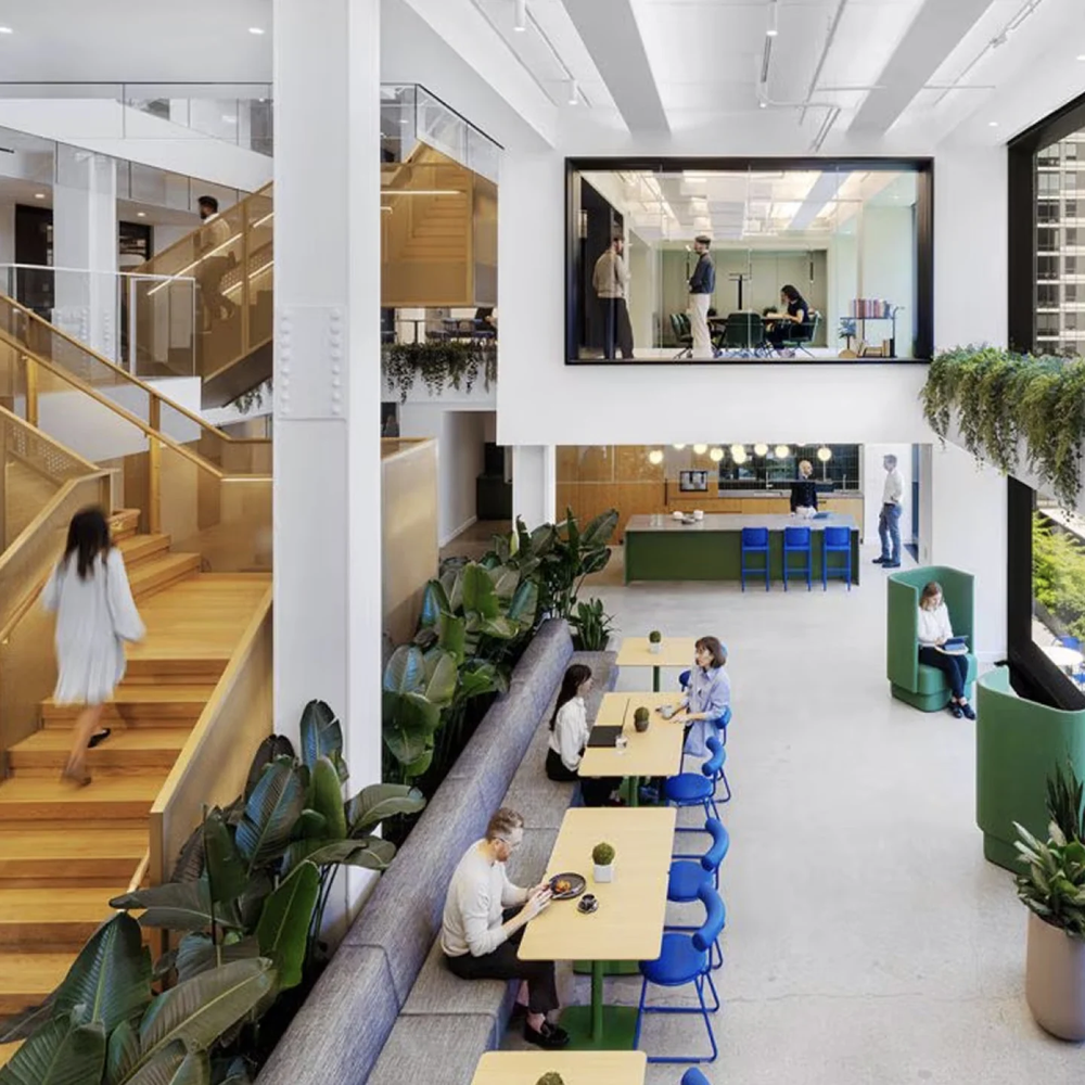 Bright multilevel office with a wooden staircase, large plants, a glass meeting room and people at tables